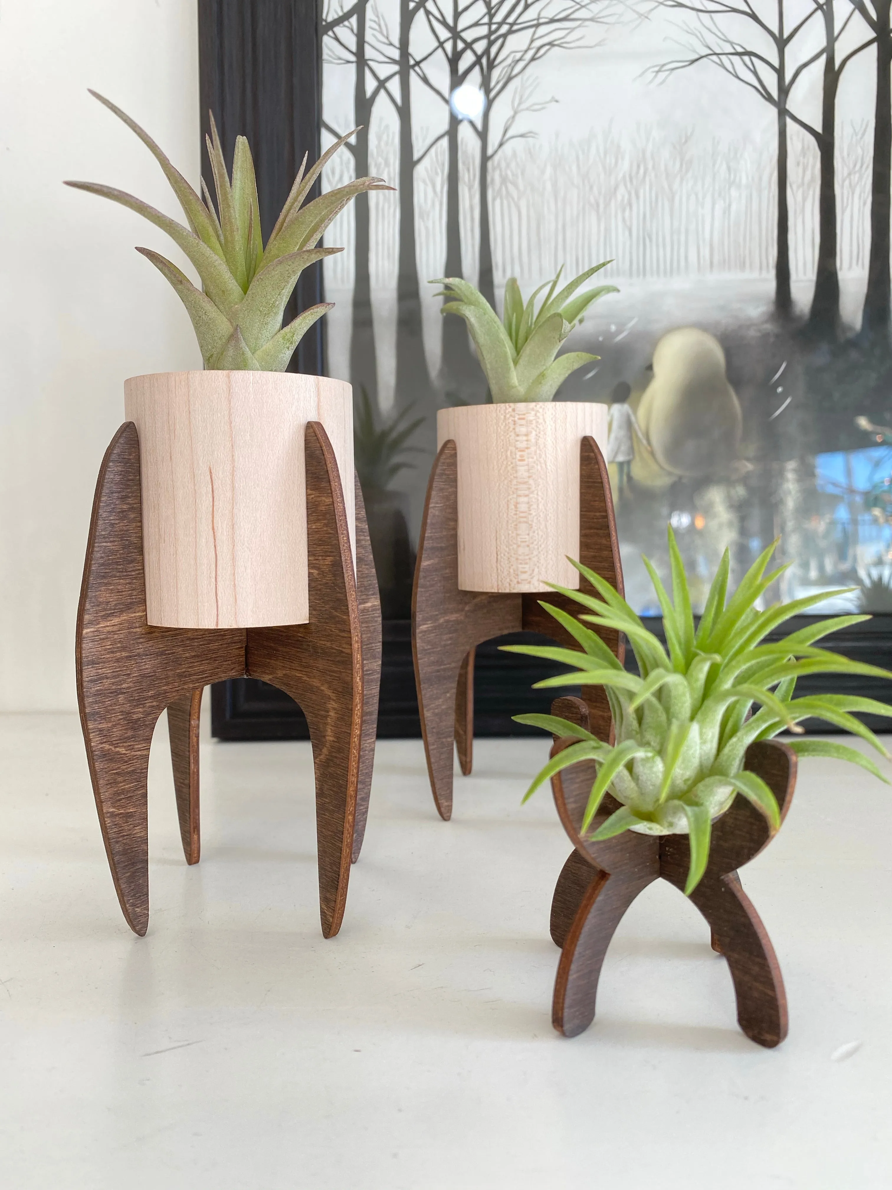 Large Modern Air Plant Stand