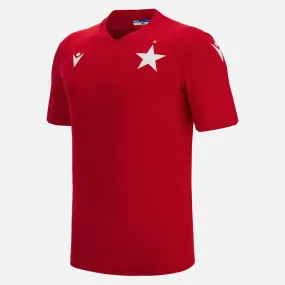 Wisła kraków 2022/23 adults' home match jersey